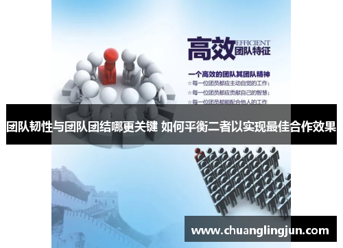 团队韧性与团队团结哪更关键 如何平衡二者以实现最佳合作效果